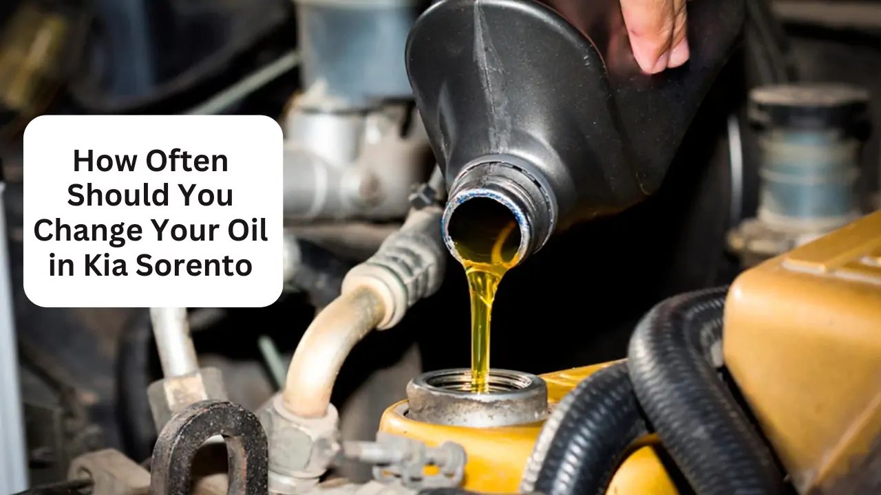 How Often Should You Change Your Oil in Kia Sorento